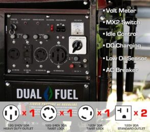 Durostar DS13000EH portable generator