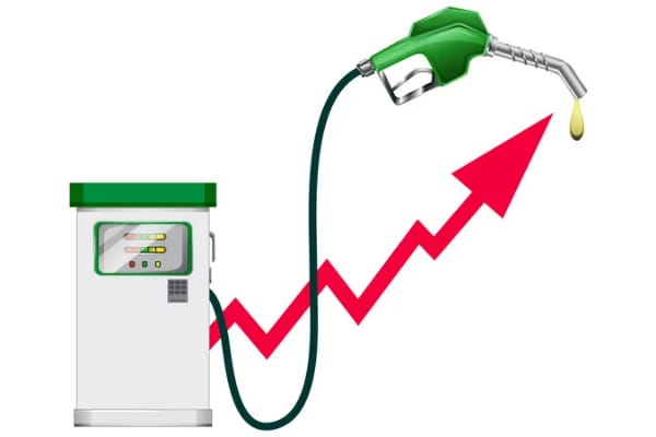 Champion 4250 inverter generator